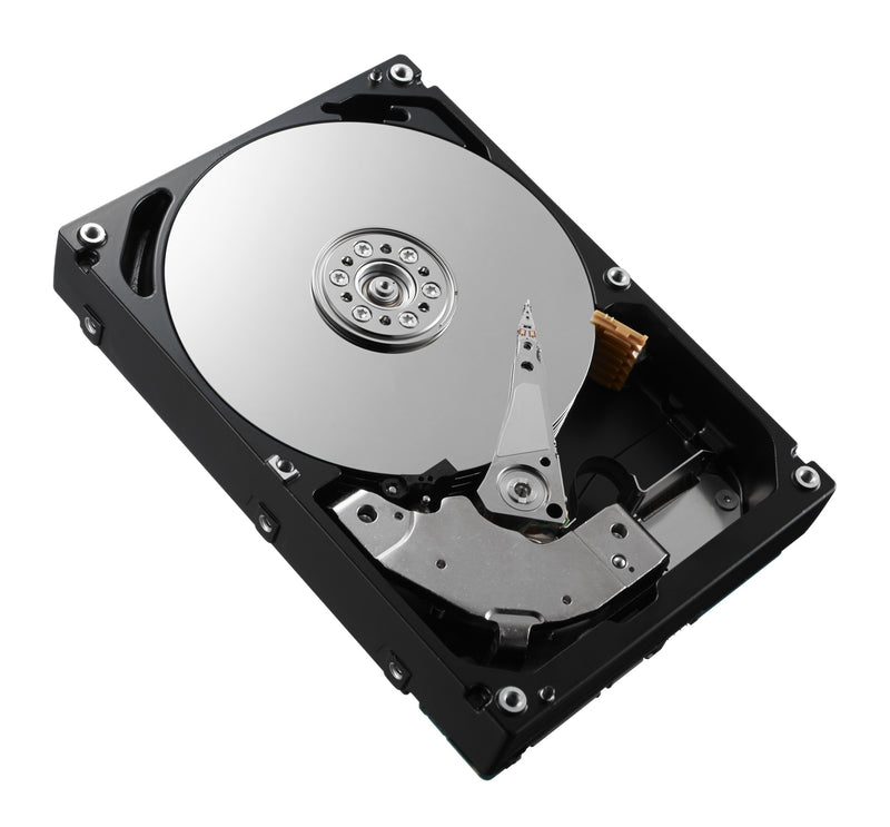 DELL 161-BBZR internal hard drive 3.5" 12 TB SAS