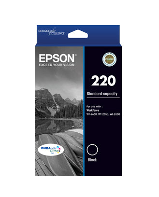 Epson C13T293192 ink cartridge Original Standard Yield Black
