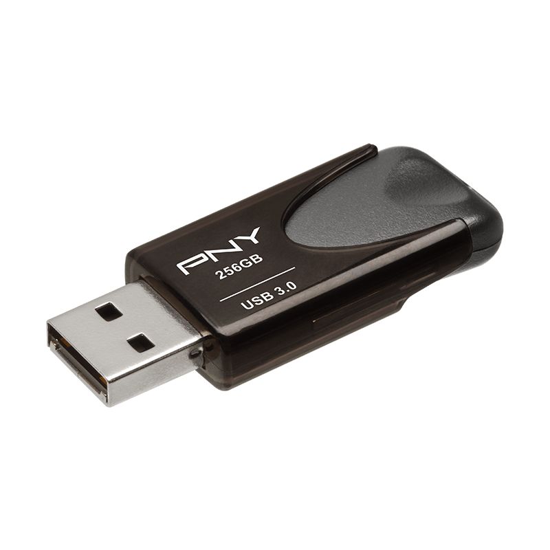 PNY Turbo Attaché 4 USB flash drive 256 GB USB Type-A 3.0 Brown