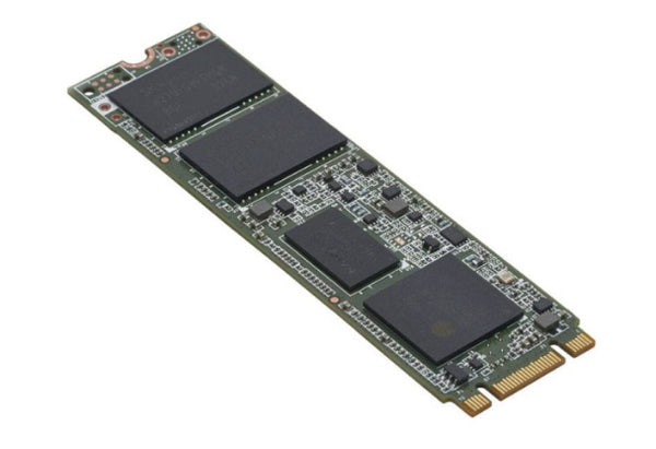 Fujitsu S26361-F5707-L240 internal solid state drive M.2 240 GB Serial ATA III
